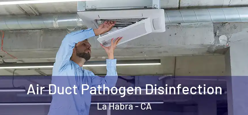  Air Duct Pathogen Disinfection La Habra - CA