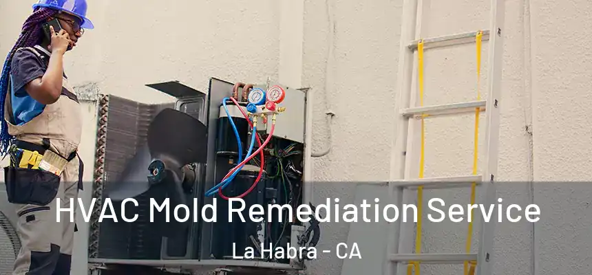  HVAC Mold Remediation Service La Habra - CA