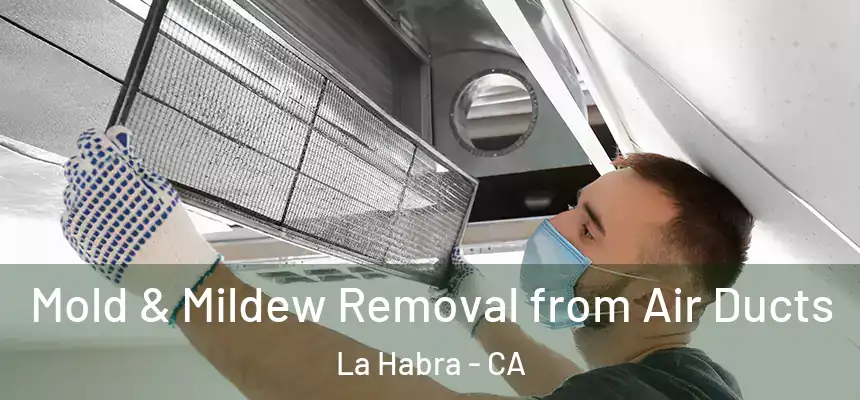  Mold & Mildew Removal from Air Ducts La Habra - CA