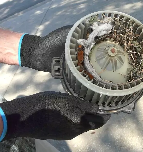 About Air Duct Mice Removal in La Habra, CA