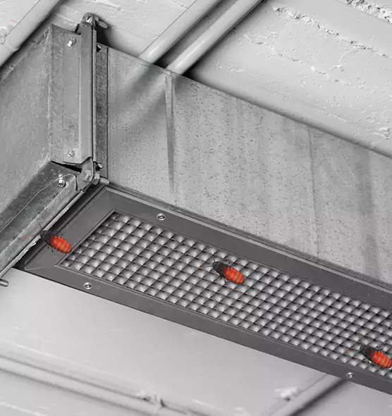 Affordable Insect Removal from Air Ducts in La Habra, CA