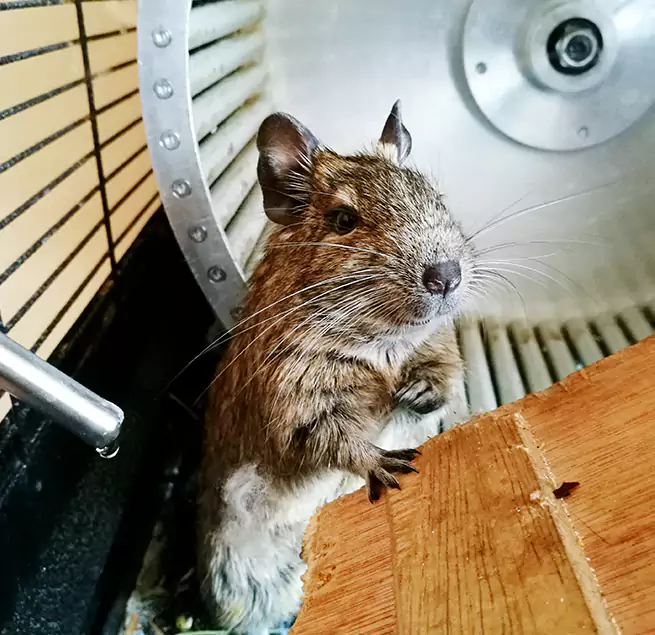 Why Homeowners & Businesses Trust Us La Habra, CA