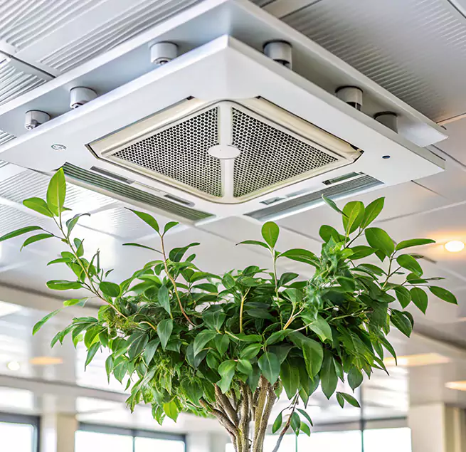 Why Homeowners & Businesses Trust Us in La Habra, CA